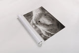 Barn Buddy IV by Deborah Revell. shown as a rolled paper print. Available as archival giclee rolled canvas, fine art paper, or poster print. SKU 96304h.