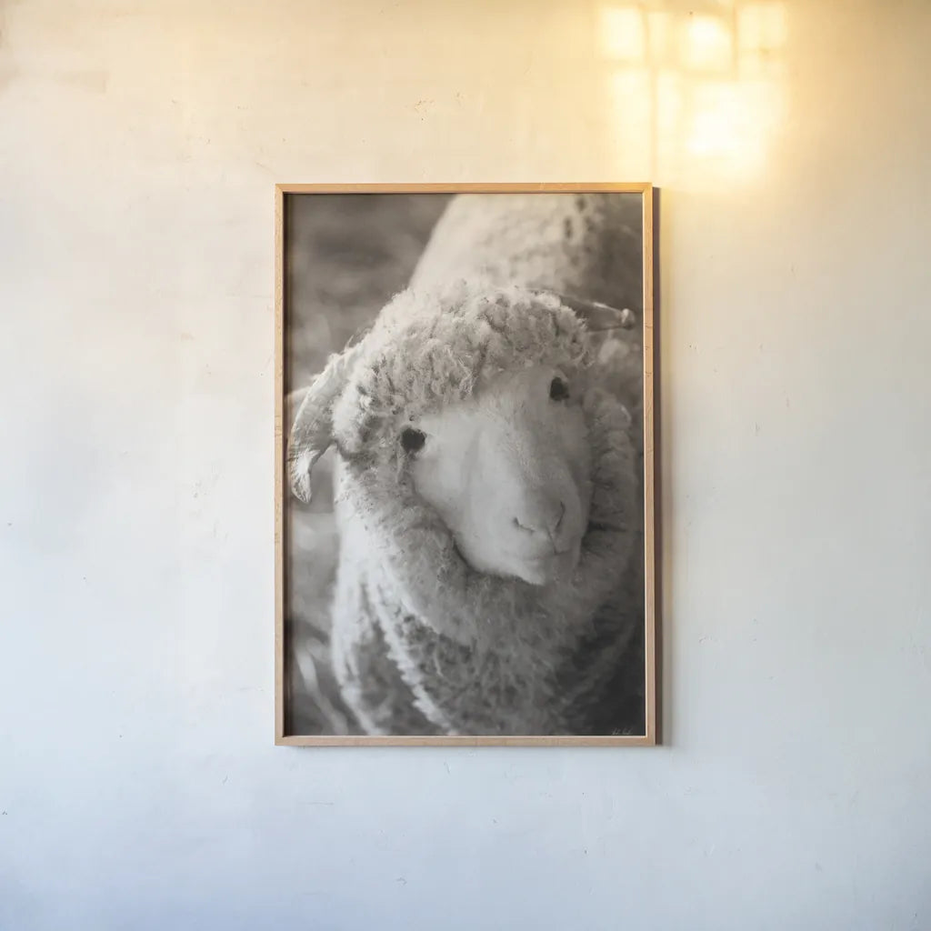 Barn Buddy IV by Deborah Revell. shown as a paper print in a natural frame. Available as a archival giclee rolled canvas, fine art paper, or poster print. SKU 96304h.