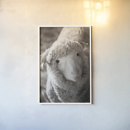 Barn Buddy IV by Deborah Revell. shown as a paper print in a white frame. Available as a archival giclee rolled canvas, fine art paper, or poster print. SKU 96304h.