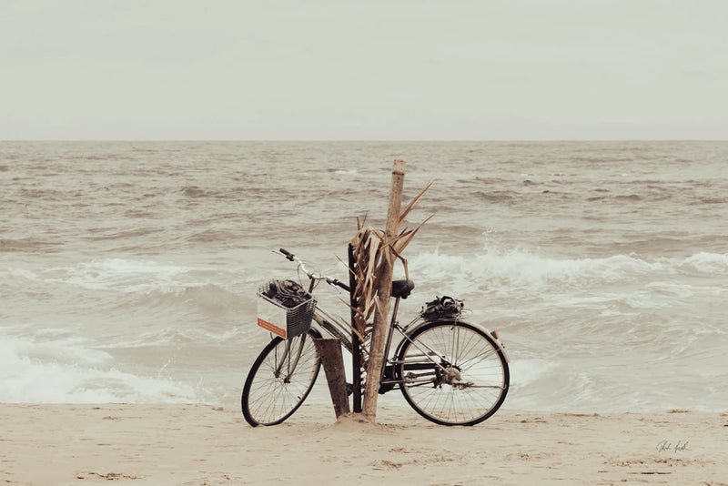 Beach Bike by Deborah Revell