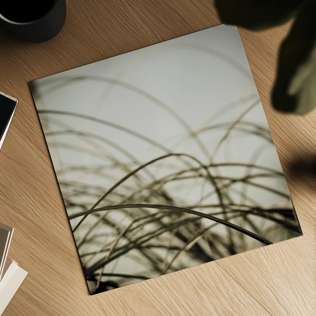 Beach Grass I by Deborah Revell. Shown as a detailed flat fine art print, highlighting archival giclee quality. Available as an archival giclee rolled canvas, fine art paper, or poster print. SKU 91630a.