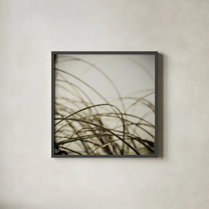 Beach Grass I by Deborah Revell. Shown in a sleek black glass frame for a contemporary gallery look. Available as an archival giclee rolled canvas, fine art paper, or poster print. SKU 91630a.