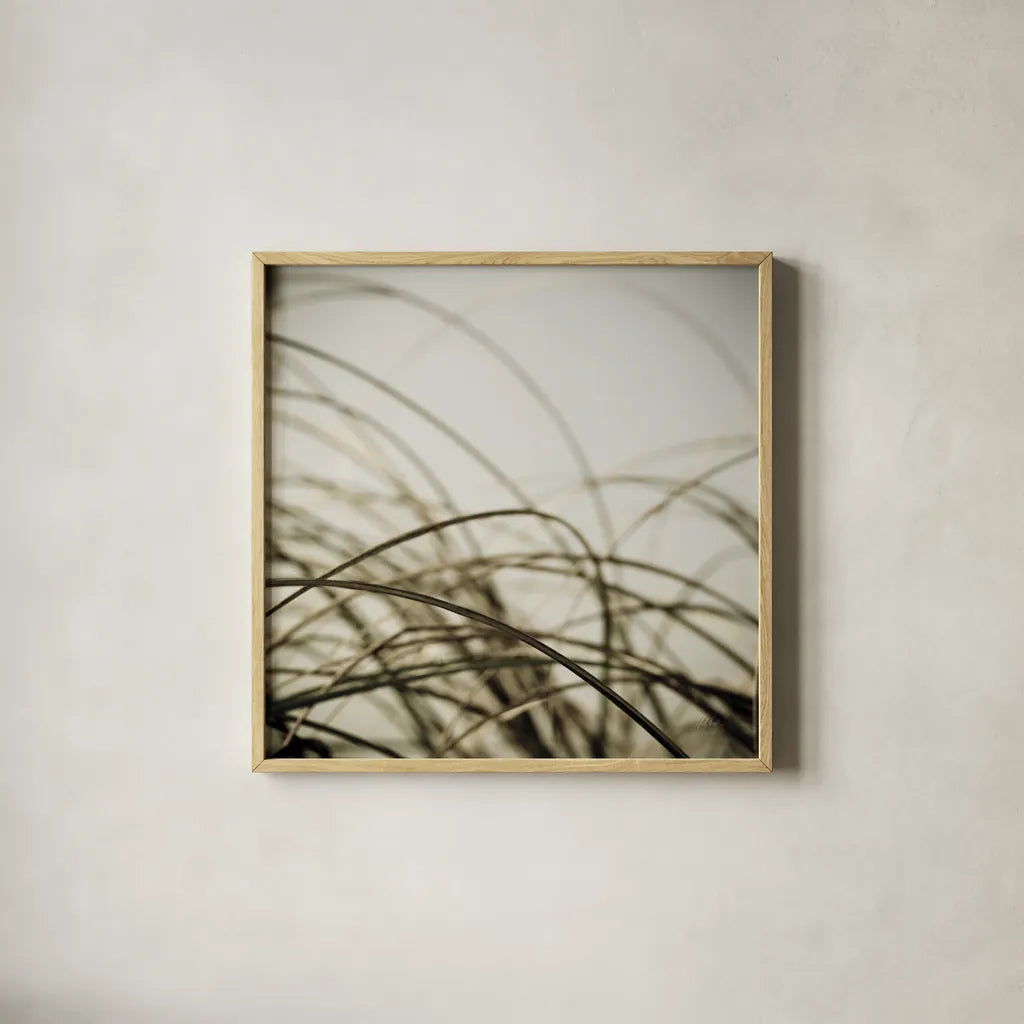 Beach Grass I by Deborah Revell. Shown in a natural wood glass frame for a timeless modern aesthetic. Available as an archival giclee rolled canvas, fine art paper, or poster print. SKU 91630a.