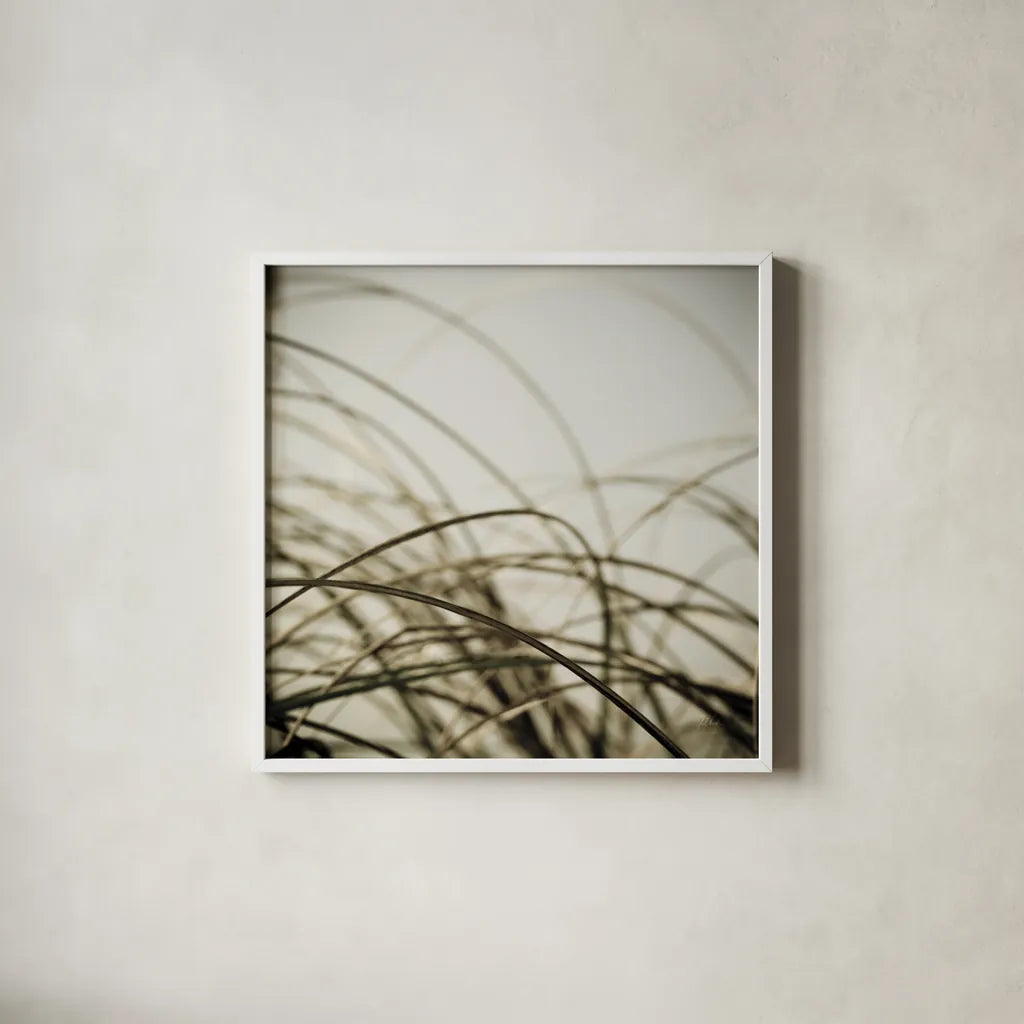 Beach Grass I by Deborah Revell. Shown in a crisp white glass frame for a clean and minimalist style. Available as an archival giclee rolled canvas, fine art paper, or poster print. SKU 91630a.