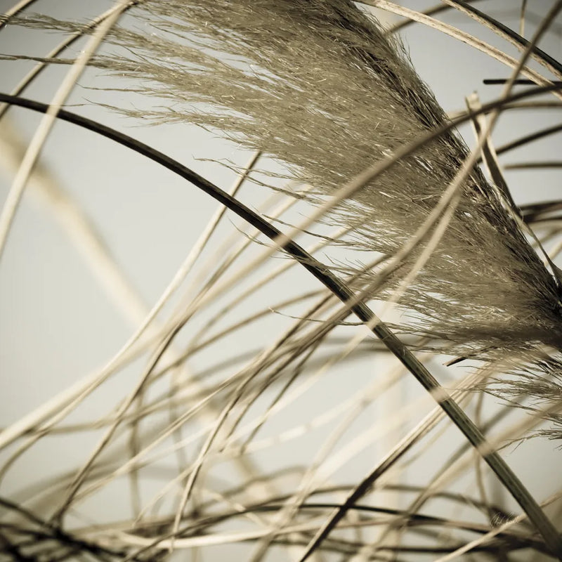 Beach Grass II by Deborah Revell. SKU 91631a. Archival Giclee Fine art print for wall decor.
