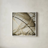 Beach Grass II by Deborah Revell. Shown in a crisp white glass frame for a clean and minimalist style. Available as an archival giclee rolled canvas, fine art paper, or poster print. SKU 91631a.