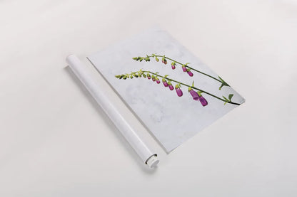 Bending Foxgloves by Deborah Revell. shown as a rolled paper print. Available as archival giclee rolled canvas, fine art paper, or poster print. SKU 93425h.