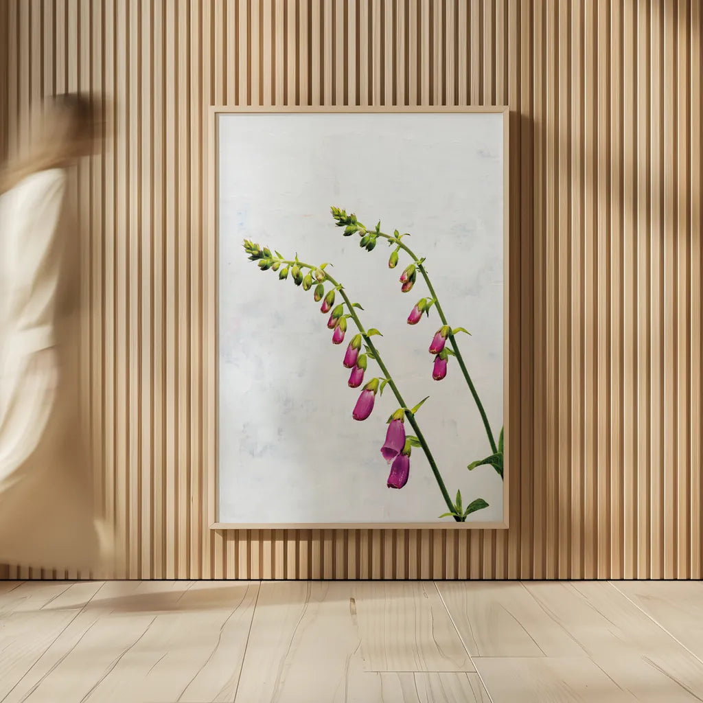 Bending Foxgloves by Deborah Revell. shown as over sized large wall art. Available as an archival giclee rolled canvas, fine art paper, or poster print. SKU 93425h.