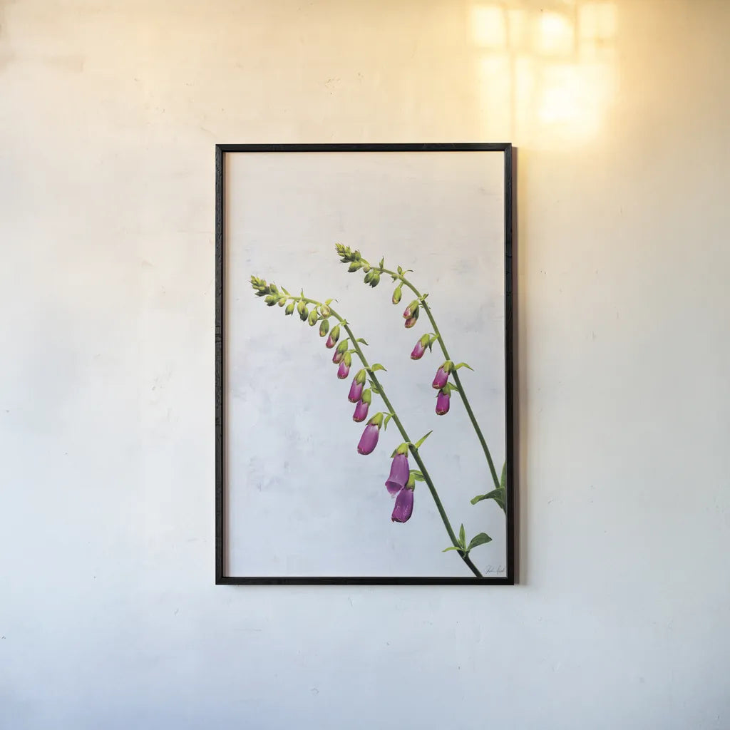 Bending Foxgloves by Deborah Revell. shown as a paper print in a black flame. Available as a archival giclee rolled canvas, fine art paper, or poster print. SKU 93425h.