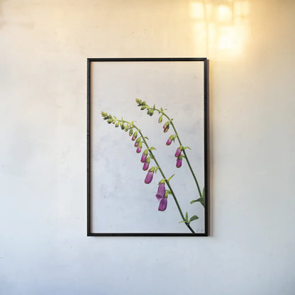 Bending Foxgloves by Deborah Revell. shown as a paper print in a black flame. Available as a archival giclee rolled canvas, fine art paper, or poster print. SKU 93425h.