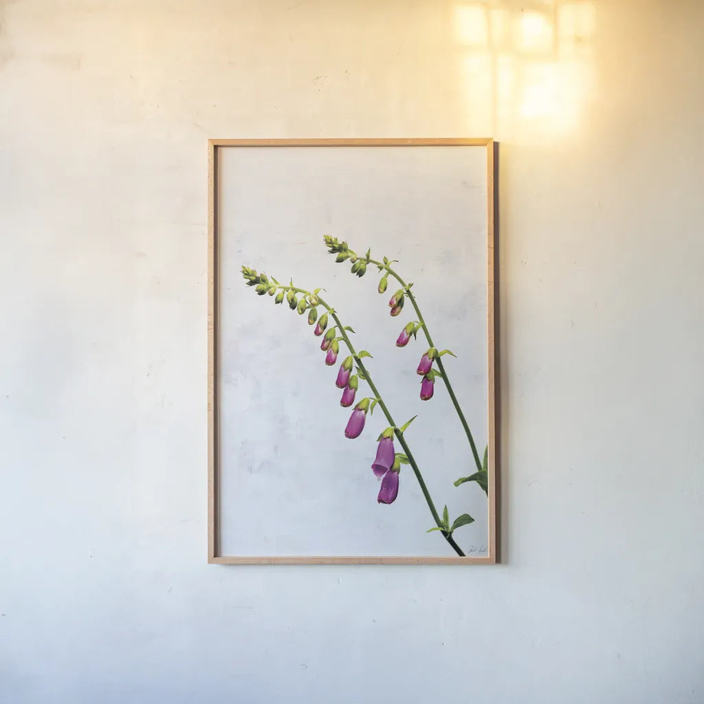 Bending Foxgloves by Deborah Revell. shown as a paper print in a natural frame. Available as a archival giclee rolled canvas, fine art paper, or poster print. SKU 93425h.