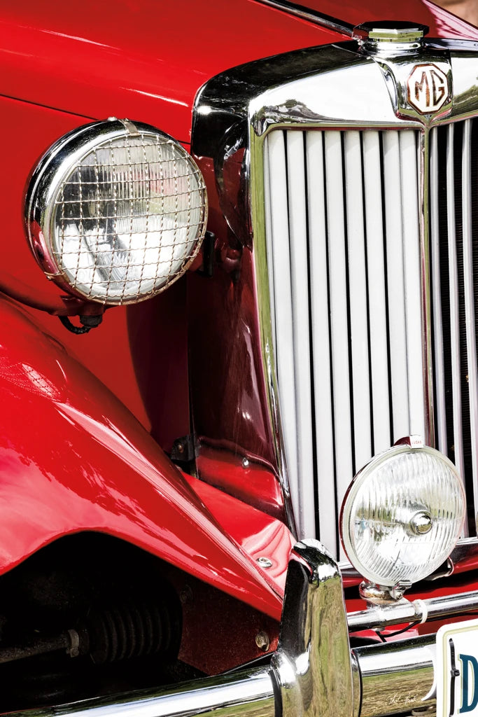 Big Red by Deborah Revell