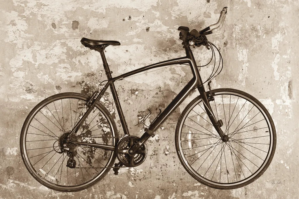 Bike by Deborah Revell. SKU 91411i. Archival Giclee Fine art print for wall decor.