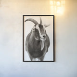Billy Goats Gruff I by Deborah Revell. shown as a paper print in a black flame. Available as a archival giclee rolled canvas, fine art paper, or poster print. SKU 96293h.