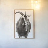 Billy Goats Gruff I by Deborah Revell. shown as a paper print in a natural frame. Available as a archival giclee rolled canvas, fine art paper, or poster print. SKU 96293h.