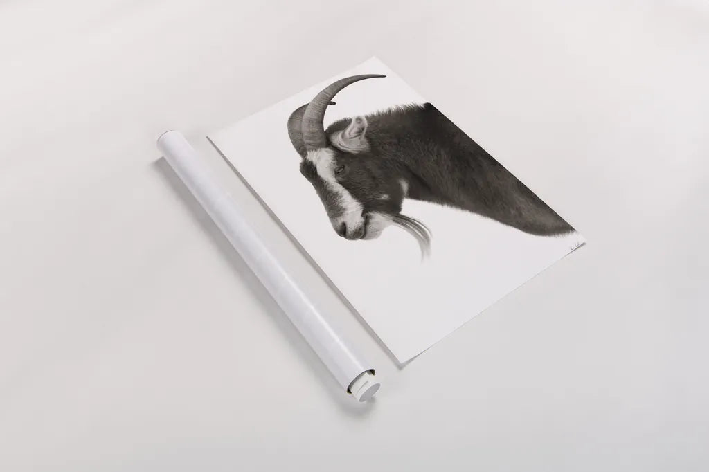 Billy Goats Gruff II by Deborah Revell. shown as a rolled paper print. Available as archival giclee rolled canvas, fine art paper, or poster print. SKU 96294h.