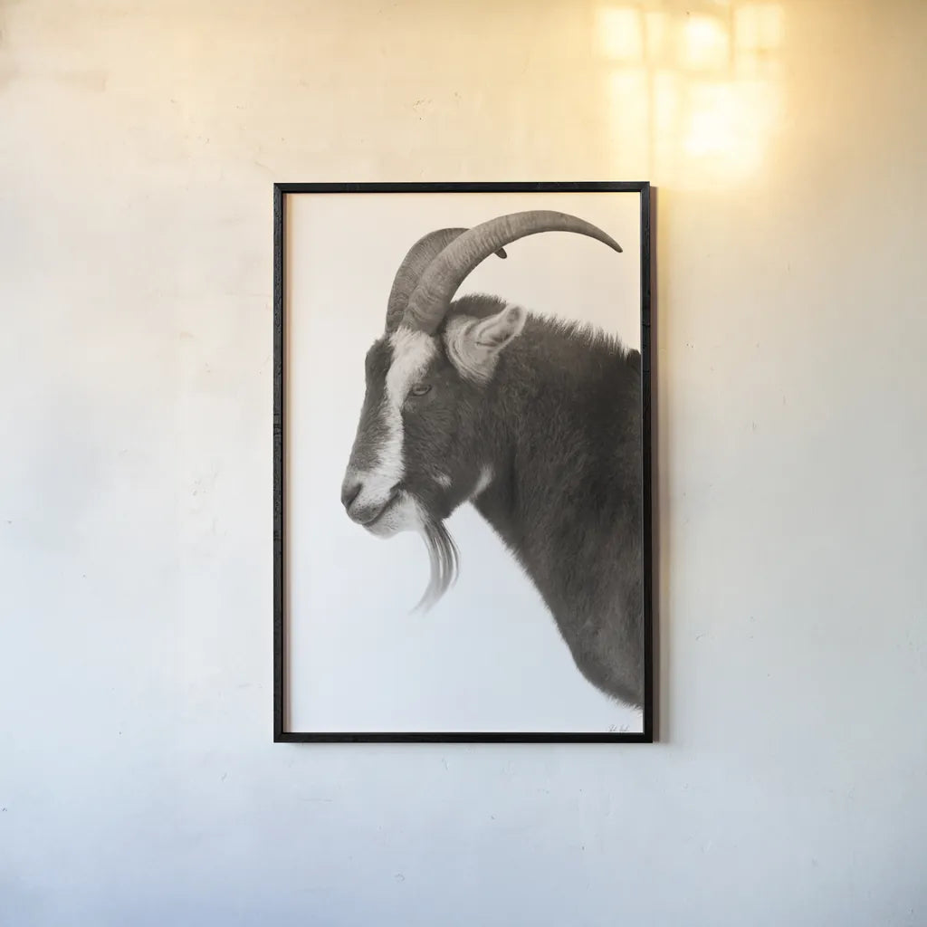 Billy Goats Gruff II by Deborah Revell. shown as a paper print in a black flame. Available as a archival giclee rolled canvas, fine art paper, or poster print. SKU 96294h.