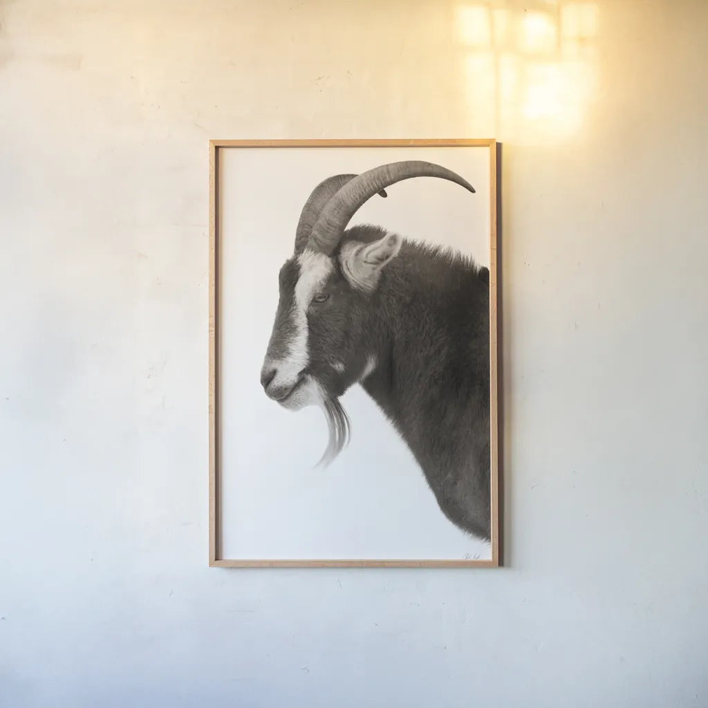 Billy Goats Gruff II by Deborah Revell. shown as a paper print in a natural frame. Available as a archival giclee rolled canvas, fine art paper, or poster print. SKU 96294h.