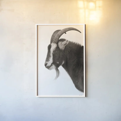 Billy Goats Gruff II by Deborah Revell. shown as a paper print in a white frame. Available as a archival giclee rolled canvas, fine art paper, or poster print. SKU 96294h.