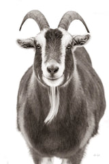 Billy Goats Gruff III by Deborah Revell. SKU 96295h. Archival Giclee Fine art print for wall decor.