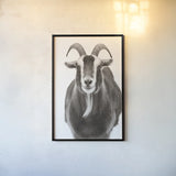 Billy Goats Gruff III by Deborah Revell. shown as a paper print in a black flame. Available as a archival giclee rolled canvas, fine art paper, or poster print. SKU 96295h.