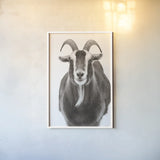 Billy Goats Gruff III by Deborah Revell. shown as a paper print in a white frame. Available as a archival giclee rolled canvas, fine art paper, or poster print. SKU 96295h.