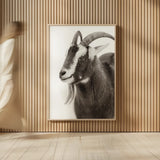 Billy Goats Gruff IV by Deborah Revell. shown as over sized large wall art. Available as an archival giclee rolled canvas, fine art paper, or poster print. SKU 96296h.