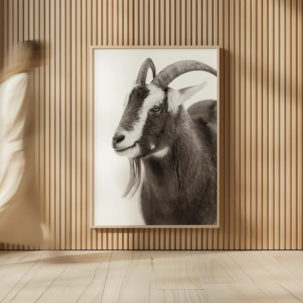 Billy Goats Gruff IV by Deborah Revell. shown as over sized large wall art. Available as an archival giclee rolled canvas, fine art paper, or poster print. SKU 96296h.
