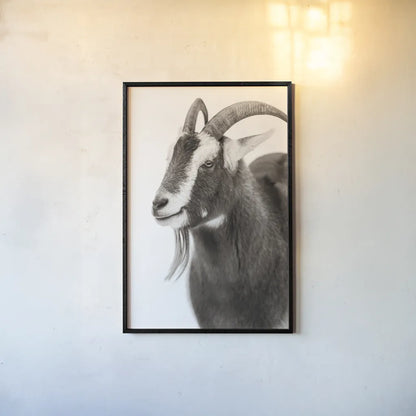 Billy Goats Gruff IV by Deborah Revell. shown as a paper print in a black flame. Available as a archival giclee rolled canvas, fine art paper, or poster print. SKU 96296h.