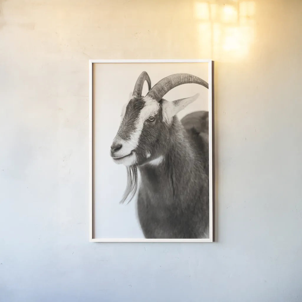 Billy Goats Gruff IV by Deborah Revell. shown as a paper print in a white frame. Available as a archival giclee rolled canvas, fine art paper, or poster print. SKU 96296h.