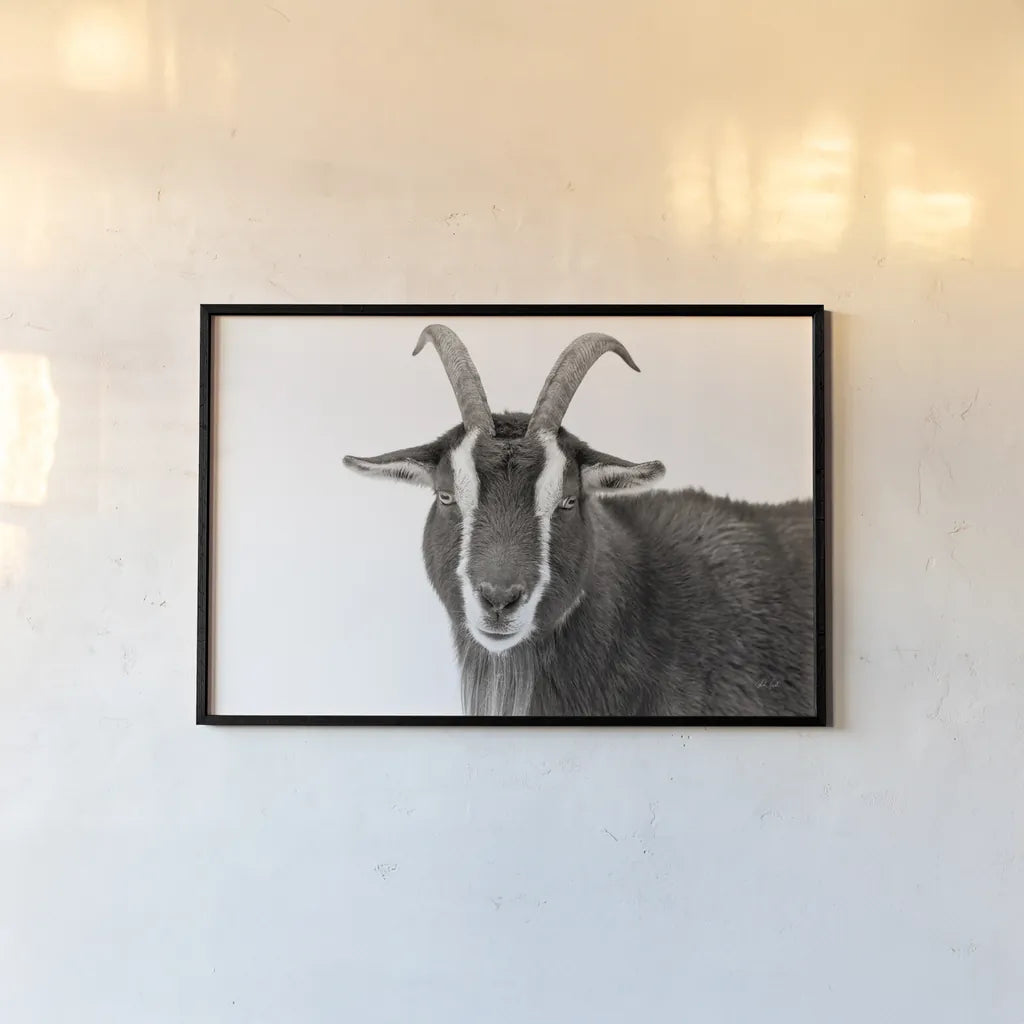 Billy Stare by Deborah Revell. shown as a paper print in a black flame. Available as a archival giclee rolled canvas, fine art paper, or poster print. SKU 96329i.