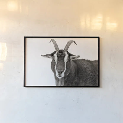 Billy Stare by Deborah Revell. shown as a paper print in a black flame. Available as a archival giclee rolled canvas, fine art paper, or poster print. SKU 96329i.
