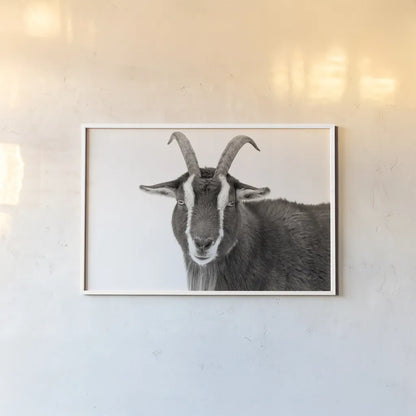 Billy Stare by Deborah Revell. shown as a paper print in a white frame. Available as a archival giclee rolled canvas, fine art paper, or poster print. SKU 96329i.