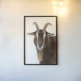 Billy the Goat by Deborah Revell. shown as a paper print in a black flame. Available as a archival giclee rolled canvas, fine art paper, or poster print. SKU 96327h.