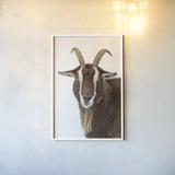 Billy the Goat by Deborah Revell. shown as a paper print in a white frame. Available as a archival giclee rolled canvas, fine art paper, or poster print. SKU 96327h.