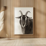 Billy the Goat BW by Deborah Revell. shown as over sized large wall art. Available as an archival giclee rolled canvas, fine art paper, or poster print. SKU 96328h.