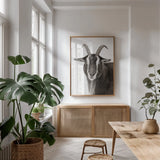 Billy the Goat BW by Deborah Revell. shown as a print in a natural wood frame in a dining room. Available as a archival giclee rolled canvas, fine art paper, or poster print. SKU 96328h.