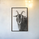 Billy the Goat BW by Deborah Revell. shown as a paper print in a black flame. Available as a archival giclee rolled canvas, fine art paper, or poster print. SKU 96328h.