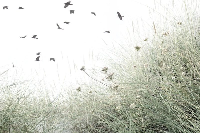 Birds Flying South by Deborah Revell. SKU 95478i. Archival Giclee Fine art print for wall decor.