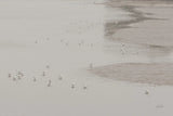 Birds in the Mist by Deborah Revell. SKU 101149i. Archival Giclee Fine art print for wall decor.