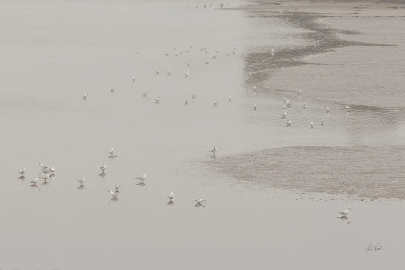 Birds in the Mist by Deborah Revell. SKU 101149i. Archival Giclee Fine art print for wall decor.