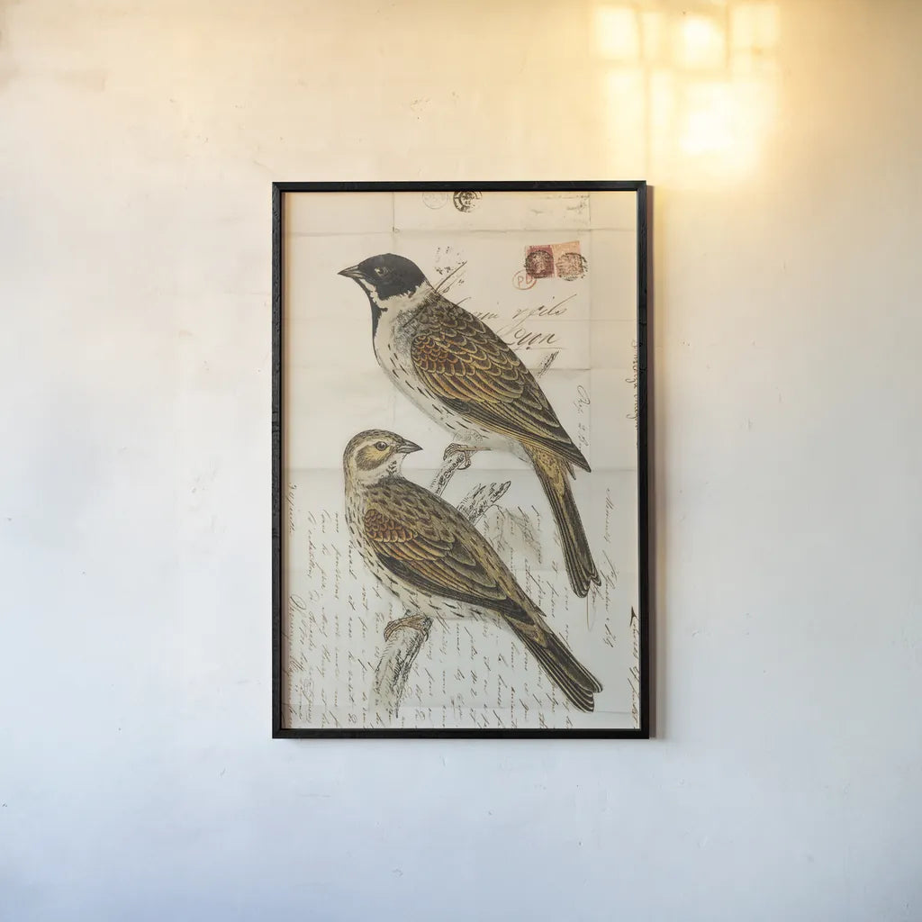 Black Headed Bunting by Deborah Revell. shown as a paper print in a black flame. Available as a archival giclee rolled canvas, fine art paper, or poster print. SKU 101631h.