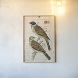 Black Headed Bunting by Deborah Revell. shown as a paper print in a natural frame. Available as a archival giclee rolled canvas, fine art paper, or poster print. SKU 101631h.