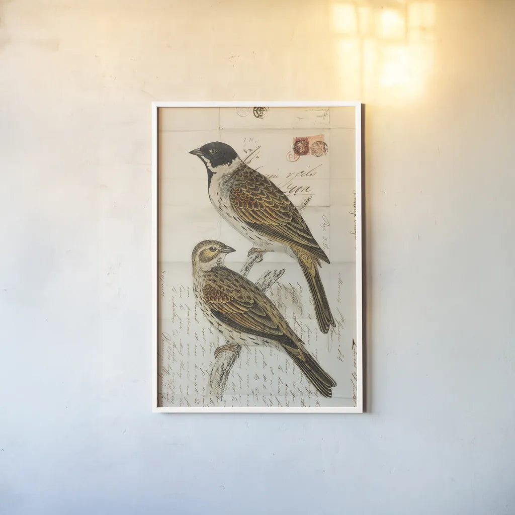 Black Headed Bunting by Deborah Revell. shown as a paper print in a white frame. Available as a archival giclee rolled canvas, fine art paper, or poster print. SKU 101631h.