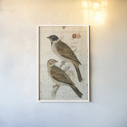 Black Headed Bunting by Deborah Revell. shown as a paper print in a white frame. Available as a archival giclee rolled canvas, fine art paper, or poster print. SKU 101631h.