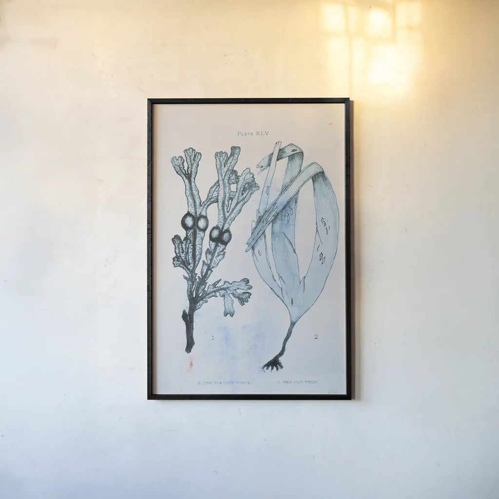 Blue Bay I by Deborah Revell. shown as a paper print in a black flame. Available as a archival giclee rolled canvas, fine art paper, or poster print. SKU 91276h.