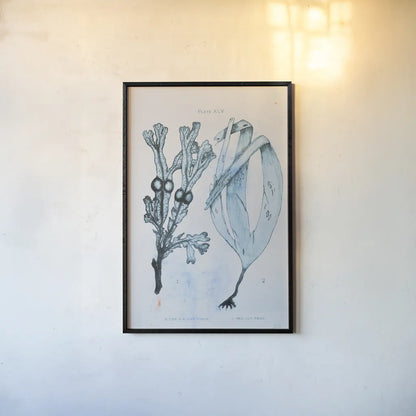 Blue Bay I by Deborah Revell. shown as a paper print in a black flame. Available as a archival giclee rolled canvas, fine art paper, or poster print. SKU 91276h.