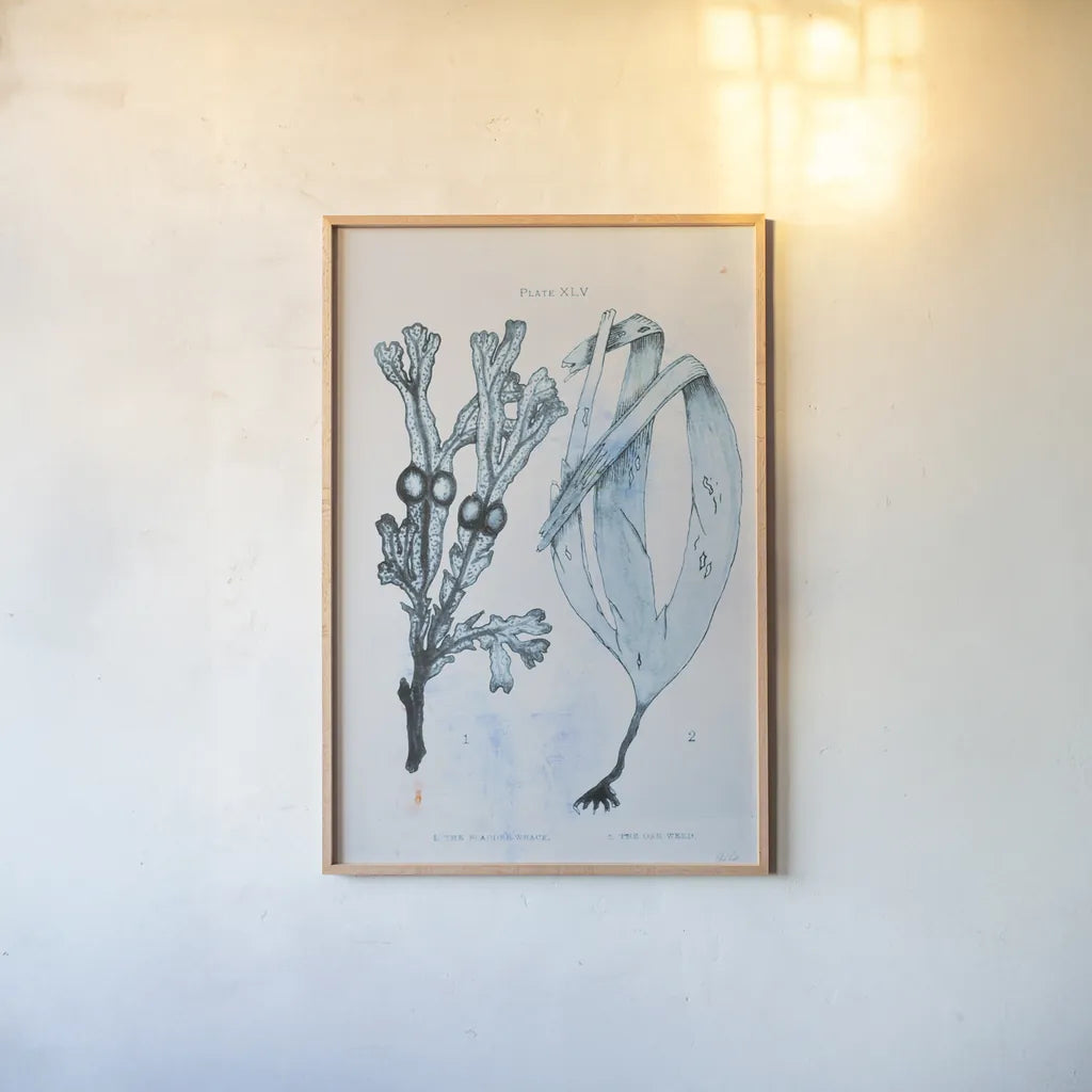 Blue Bay I by Deborah Revell. shown as a paper print in a natural frame. Available as a archival giclee rolled canvas, fine art paper, or poster print. SKU 91276h.