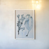Blue Bay I by Deborah Revell. shown as a paper print in a white frame. Available as a archival giclee rolled canvas, fine art paper, or poster print. SKU 91276h.
