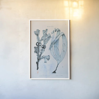 Blue Bay I by Deborah Revell. shown as a paper print in a white frame. Available as a archival giclee rolled canvas, fine art paper, or poster print. SKU 91276h.